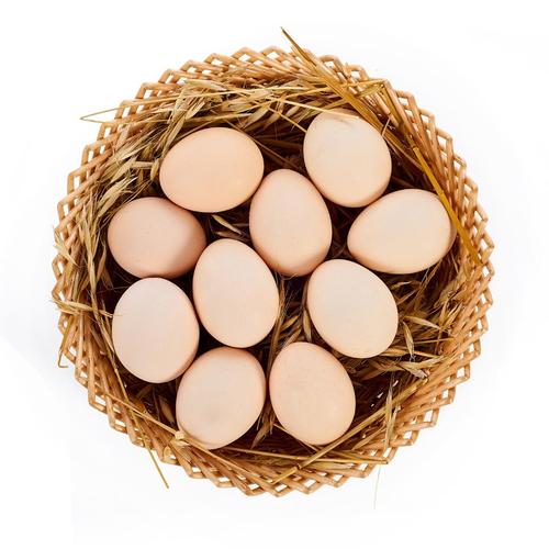 优蛋最新版2026最新
