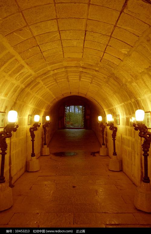 墓道下载2026最新
