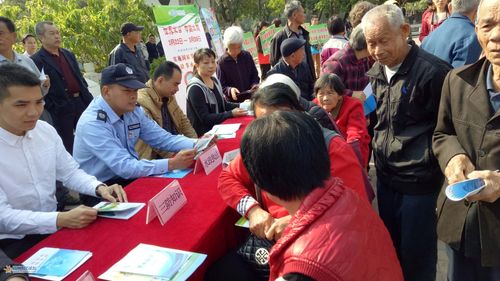 高州市阳光论坛2026最新
