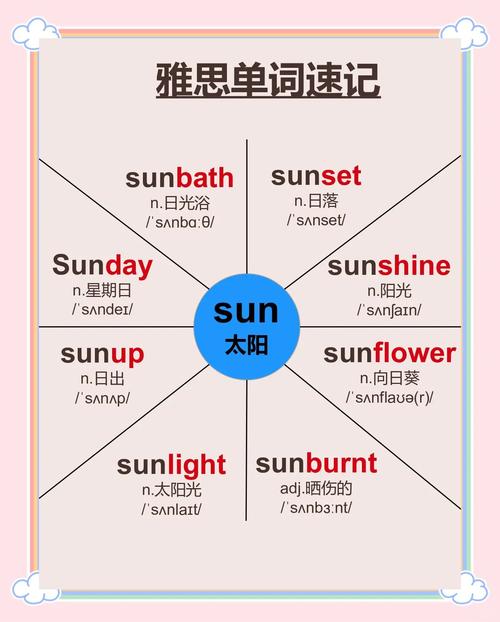 金太阳背单词2026最新
截图