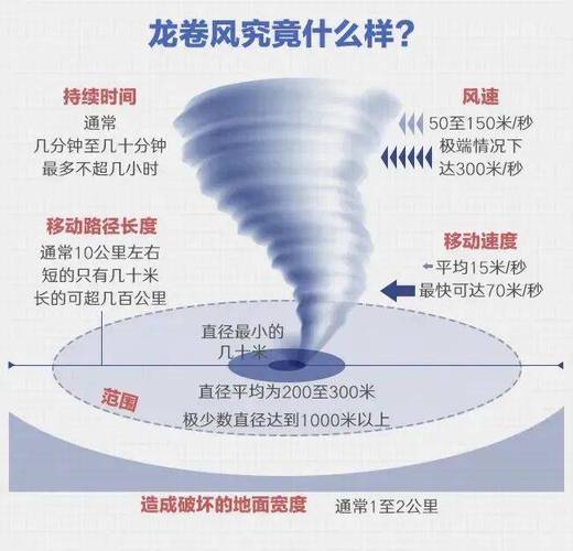 网站排名龙卷风优化
