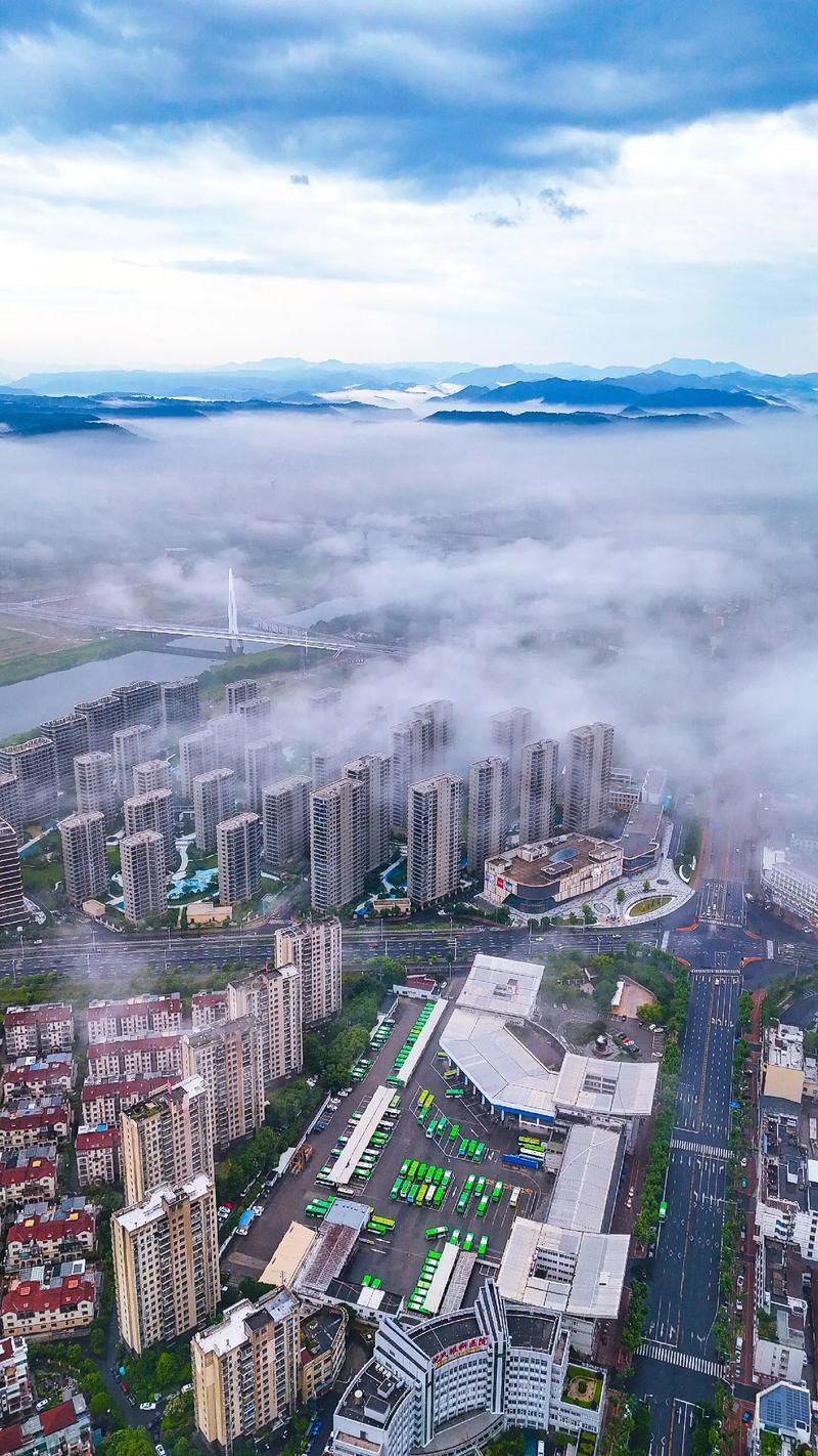 嵊州信息港2026最新
