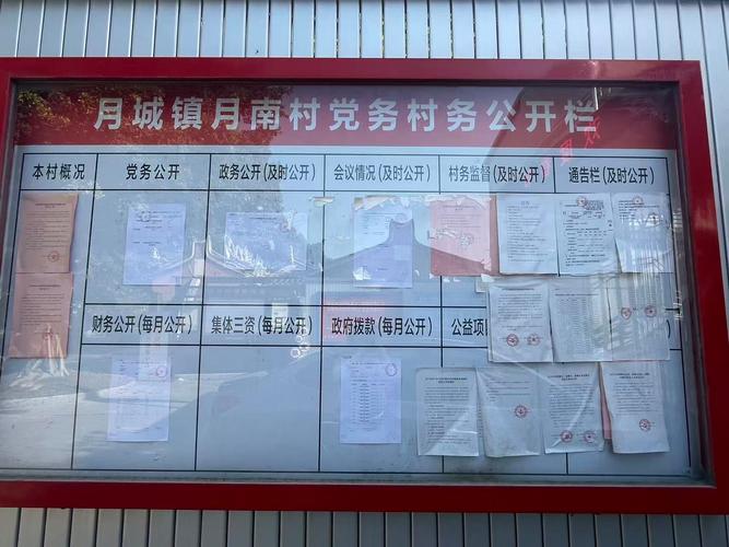 堂堂网市场看板2026最新
