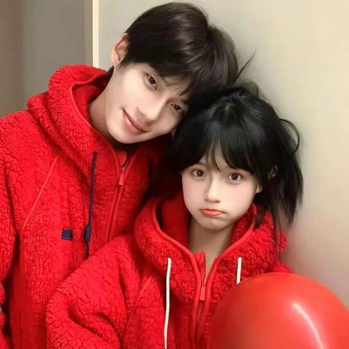 最新qq伴侣2026最新
