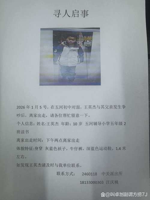 岳西在线2026最新
