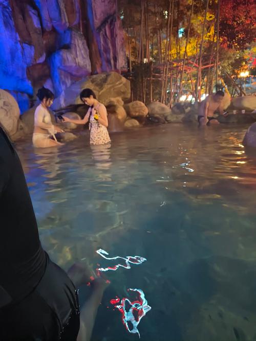 再去温泉吧 下载2026最新
