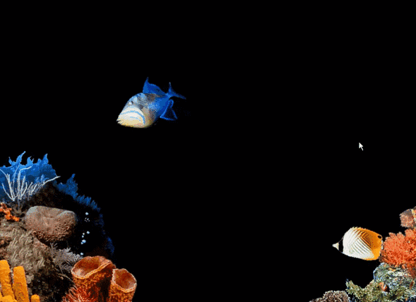 电脑动态屏保专家
截图