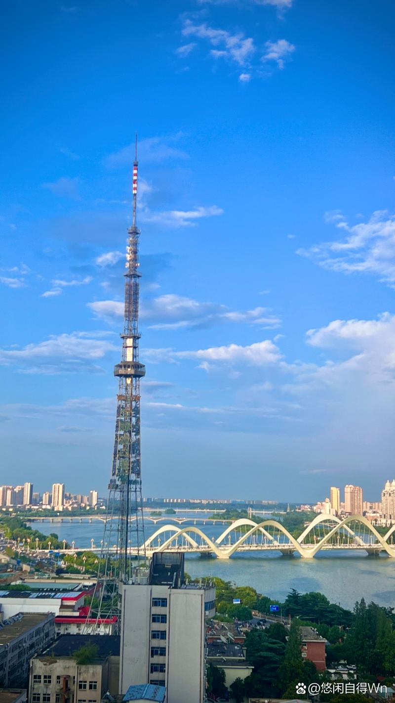 高州阳光网2026最新
