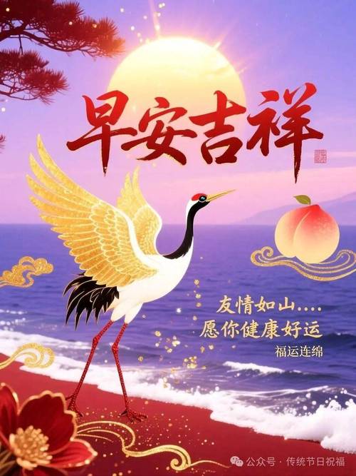 关云藏2026最新
截图