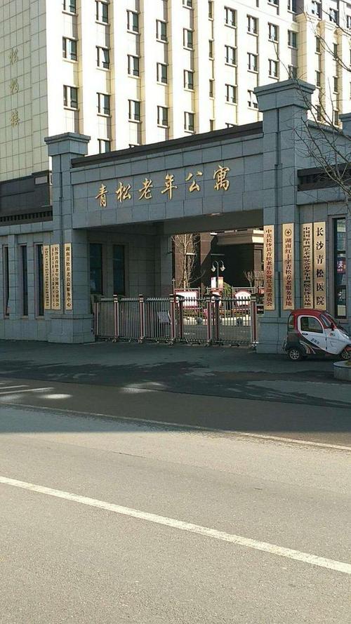 青松养老2026最新
