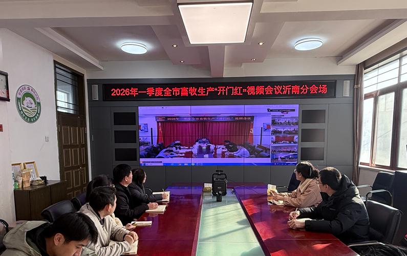 泰德视频会议2026最新
