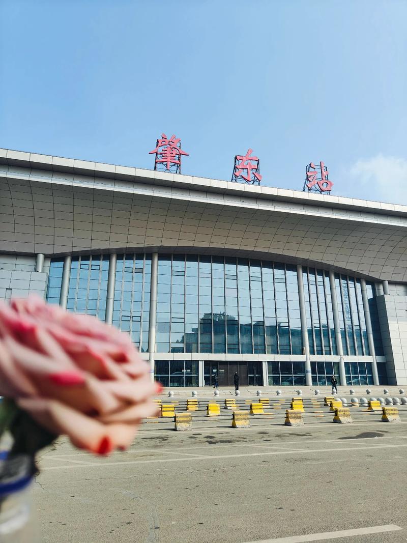 肇东信息港2026最新
