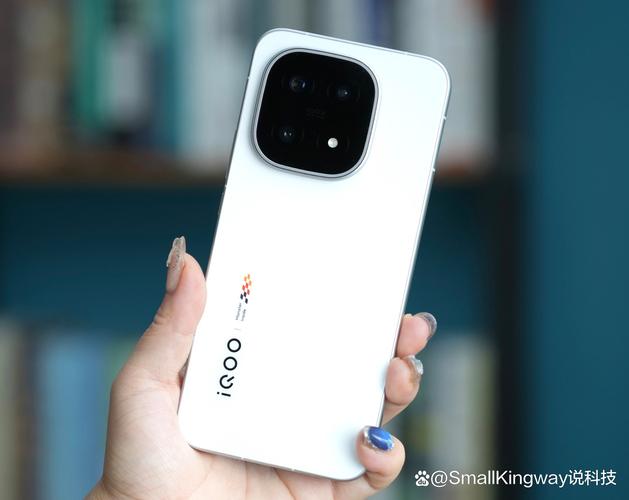 手机版卡农2026最新
