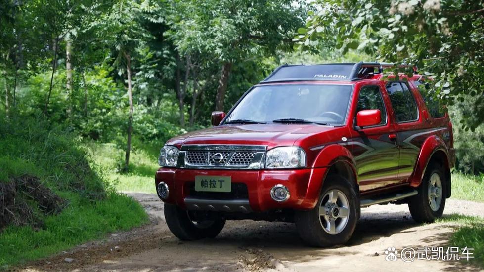 帕拉丁奇遇2026最新
