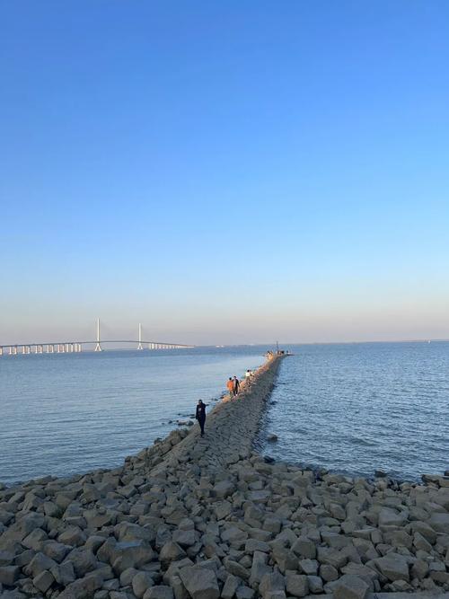 长兴岛生活网2026最新
