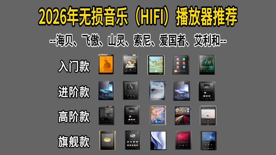 csf 播放器2026最新
截图