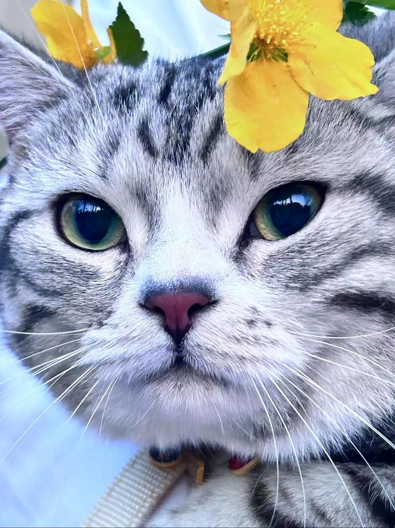 花花花花花花生喵2026最新
