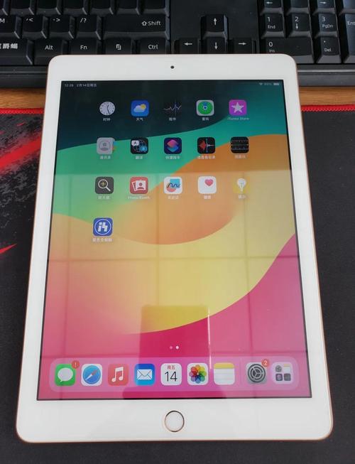 美拍ipad下载2026最新
