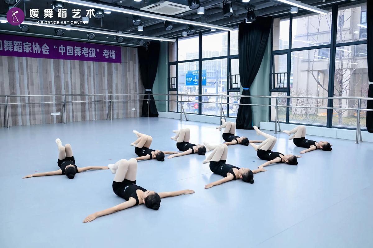 中舞网2026最新
截图