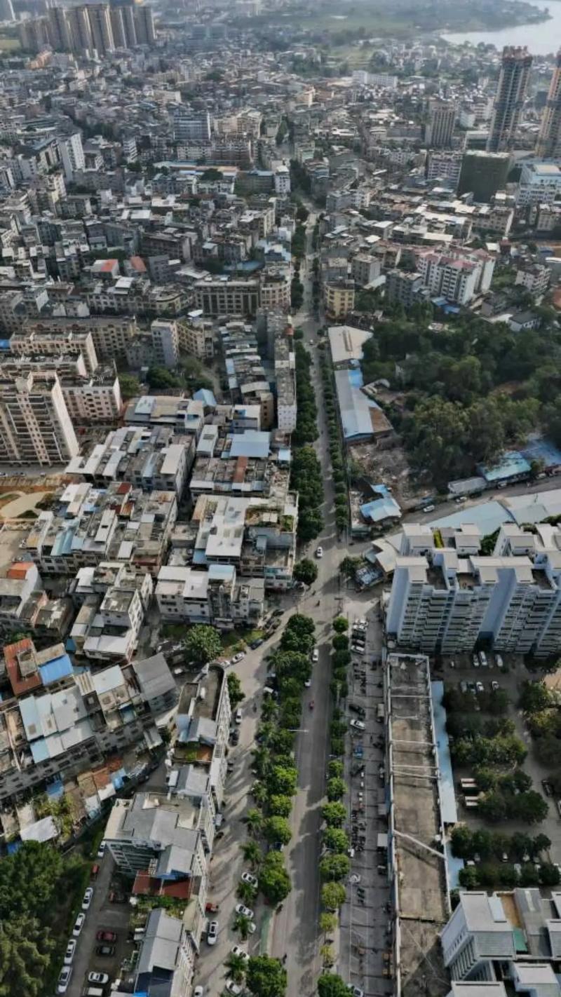 田东生活2026最新
