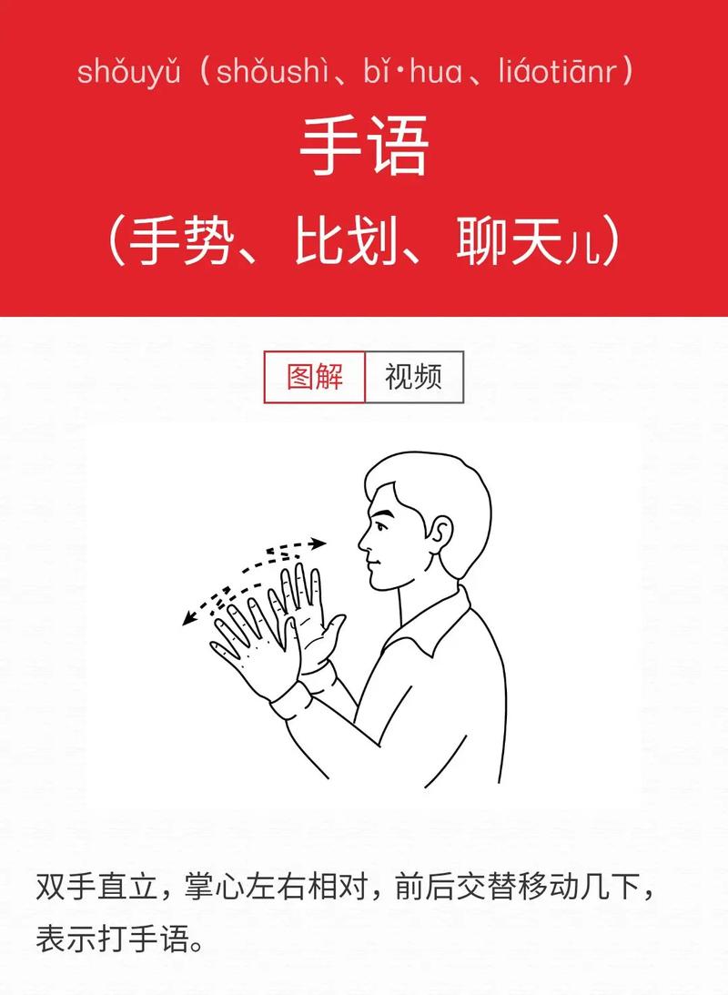 掌中英语2026最新
