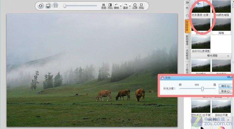 可牛影像官方免费下载2026最新
