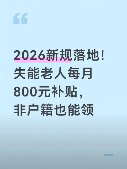 折八百网2026最新
