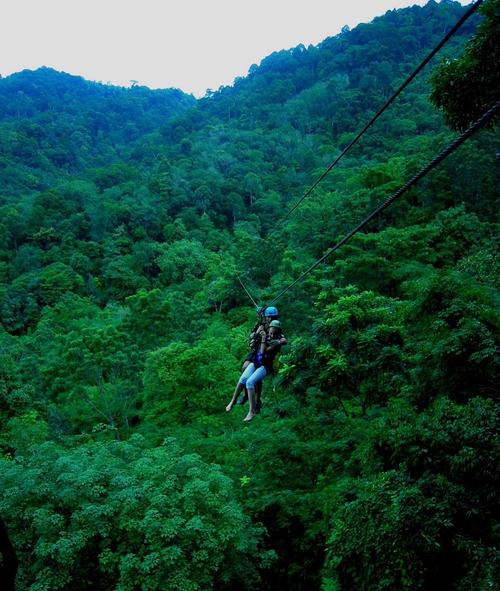 丛林跳跃2026最新
