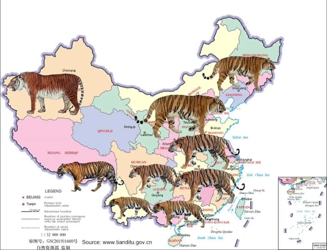 老虎地图官方下载2026最新
