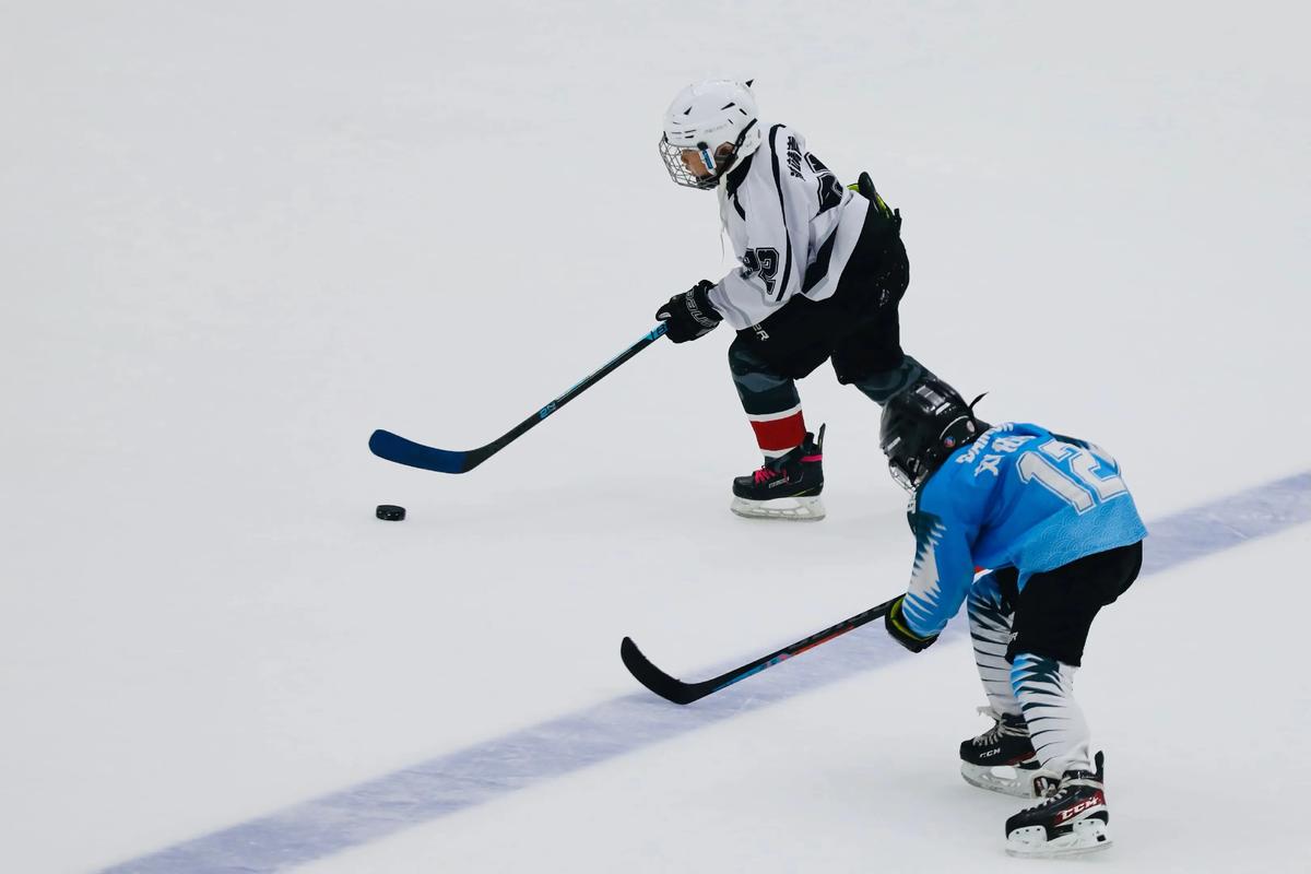 冰雪勇士下载2026最新
