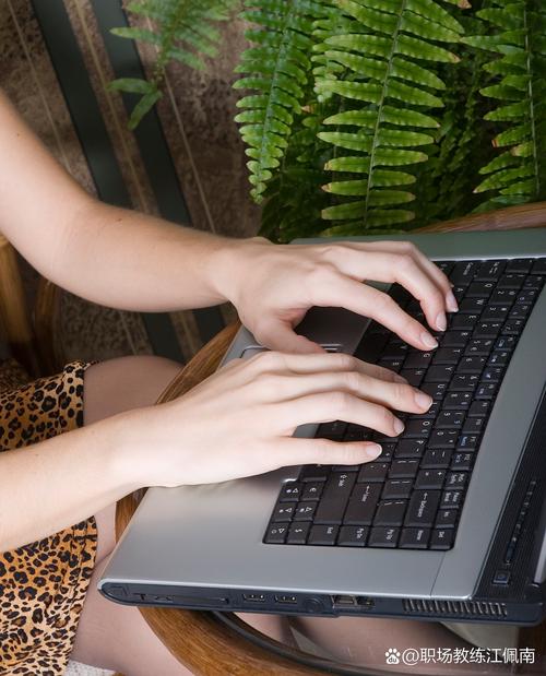 拇指玩电脑版2026最新
