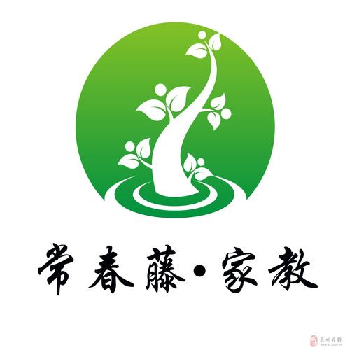 常青藤家教网2026最新
