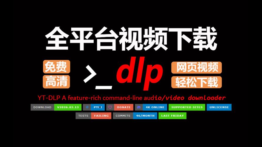 视频下载网2026最新
