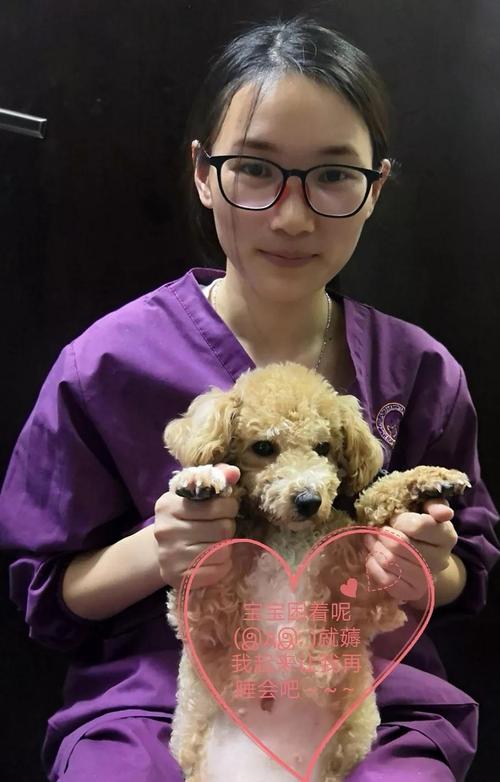 宠爱天使最新版下载2026最新
