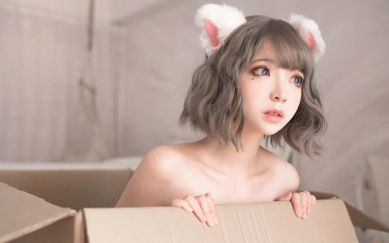 疯猫网络2026最新
