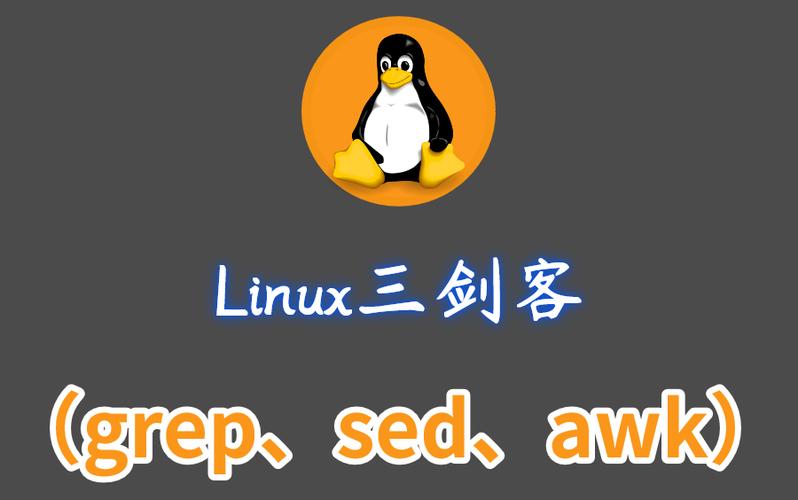 三剑客软件2026最新
