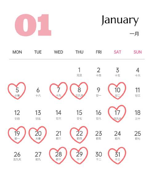 tom365快播2026最新
