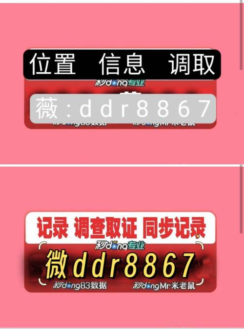 通过手机号找人2026最新
