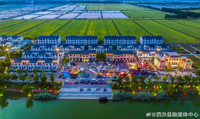 泗洪风情网2026最新
