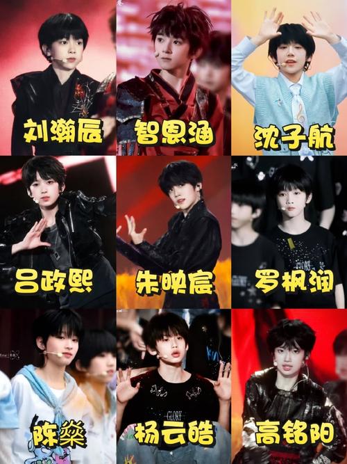 tf家族洋葱下载2026最新
