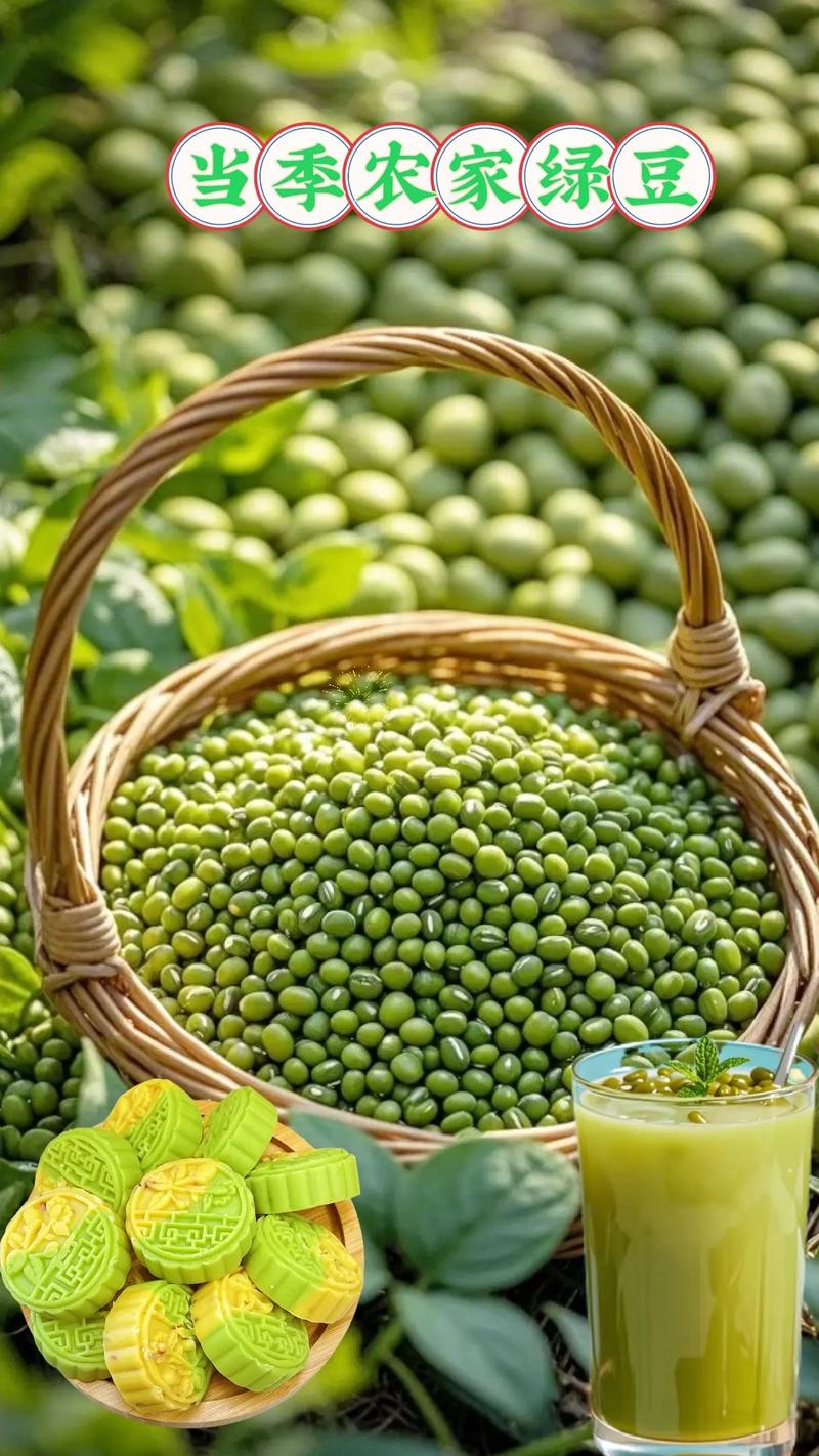 绿豆秀秀2026最新
截图