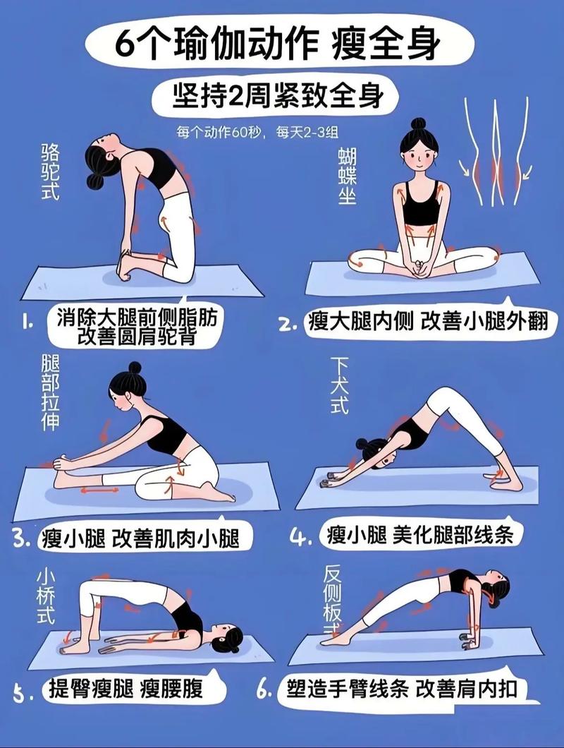 瘦身瑜伽视频教程下载2026最新
