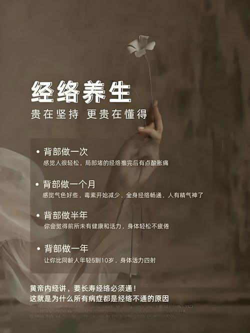 养生美容网2026最新
