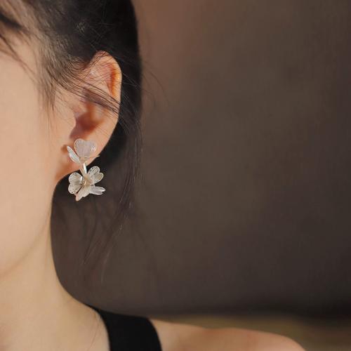 我帮圈圈2026最新
