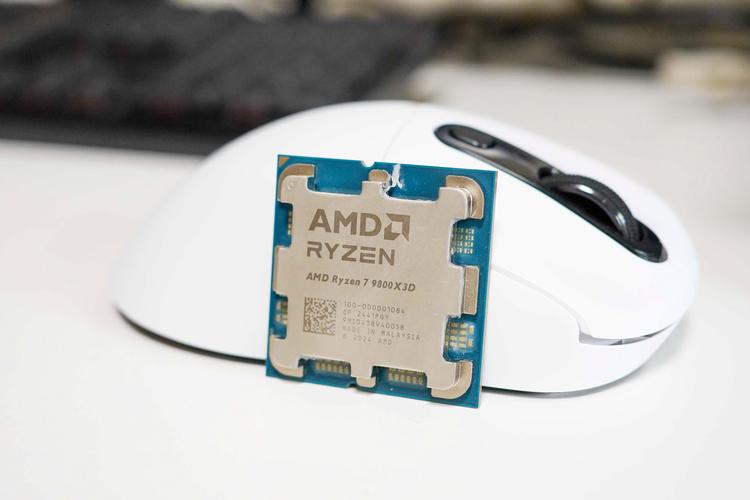 amdacious2026最新
