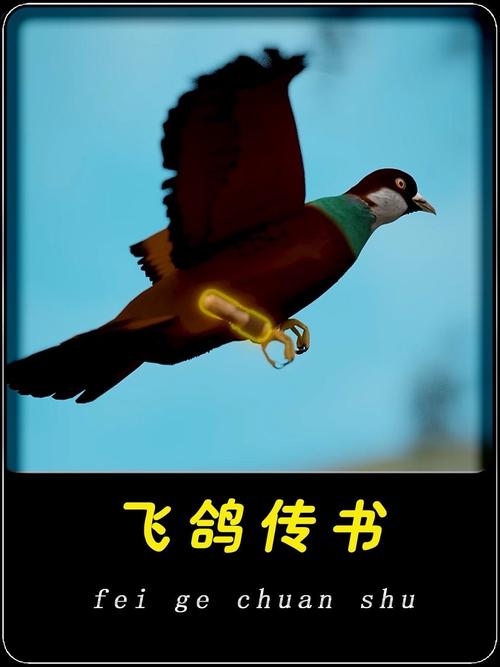 飞鸽传书官方下载2026最新
