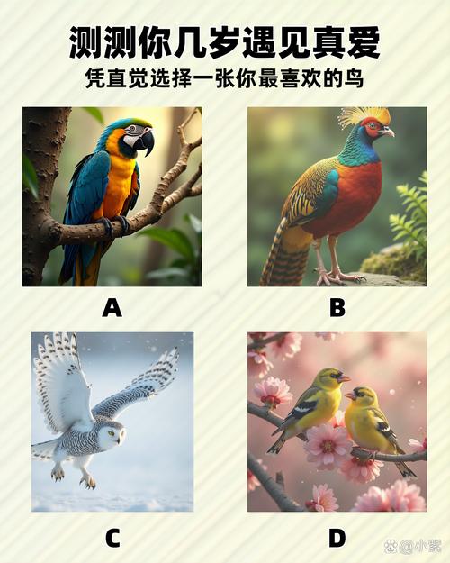 悠悠鸟邀请码2026最新
