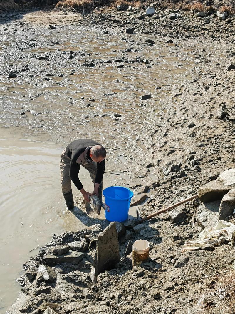 手机捉鱼2026最新
截图