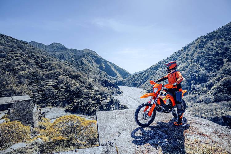 爬行天下2026最新
截图