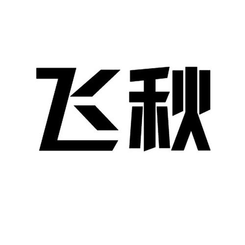 飞秋20132026最新
